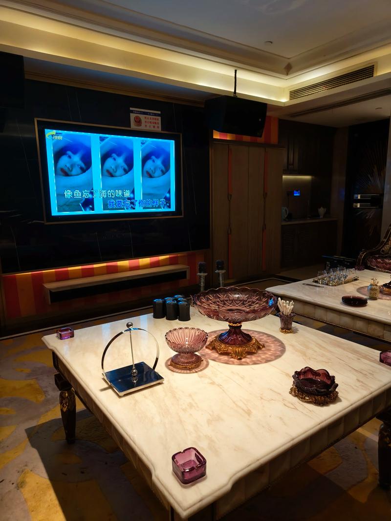 南昌商务ktv:创新商务ktv新模式-青山湖区ktv预订